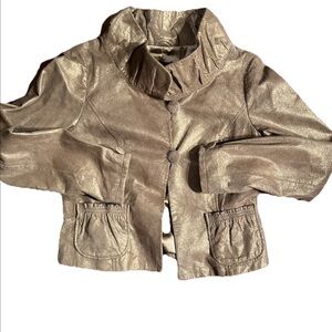 Leather Danier Metallic Beige Suede